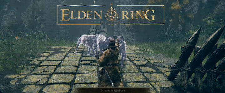 Unraveling the Hidden Depths of Elden Ring: Guide to NPC Quests